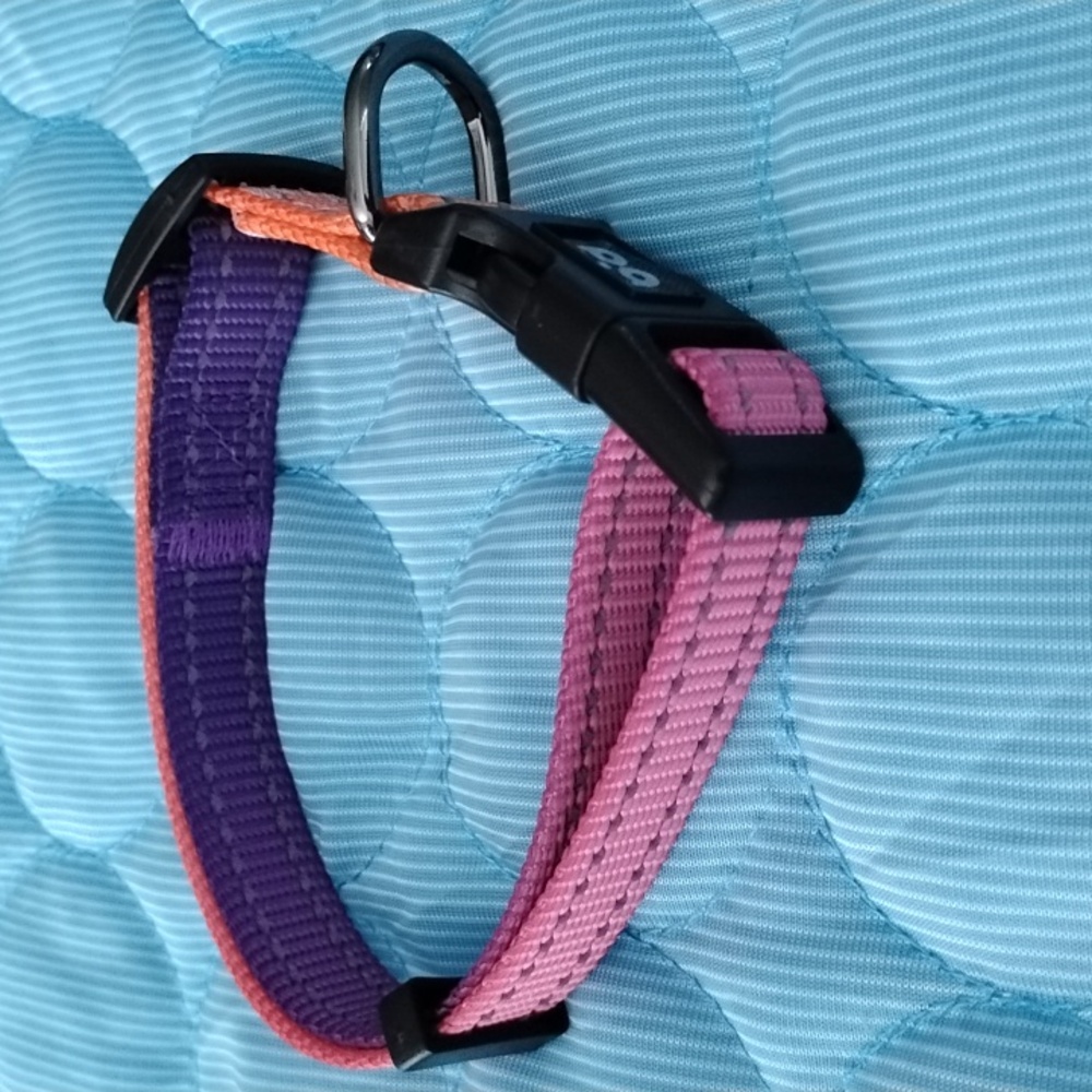 Colorful Pink and Purple Dog Collar - Picture 3 of 4